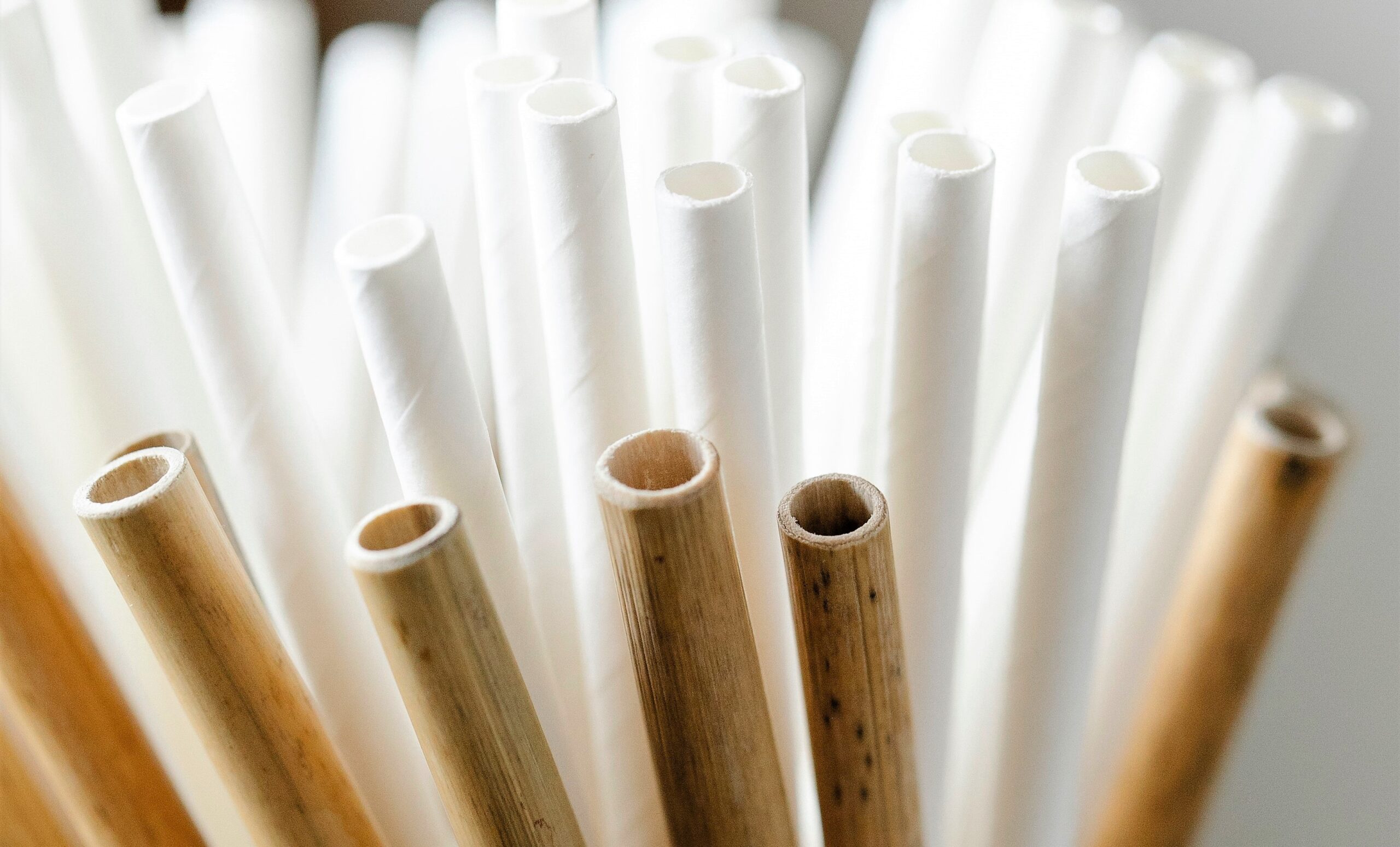 Bamboo straws and white plastic straws are gathered together in a glass.