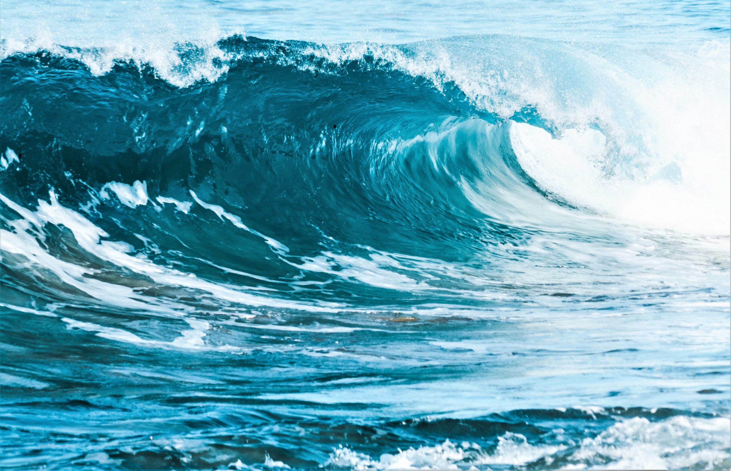 A strong wave is curling by the shore in deep blues and bright white.