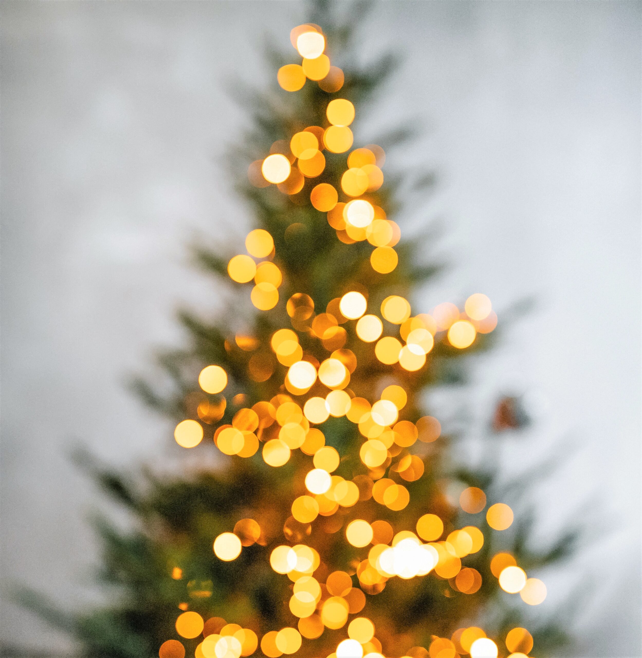 A Blurry tree is illuminated with tiny bright lights warming up the room in the background.
