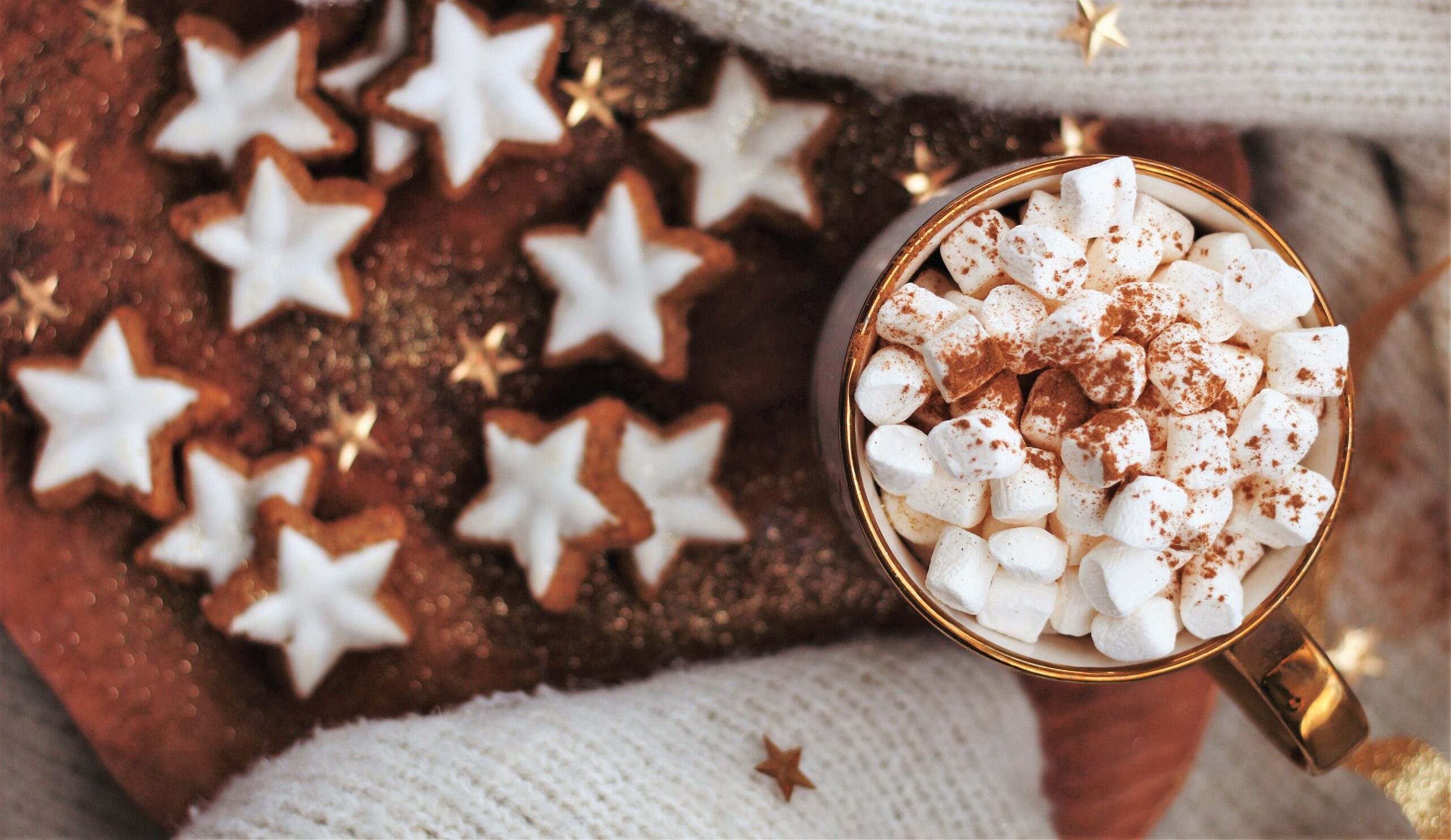 A cup of hot cocoa with lots of mini marshmallows is resting on the sleeve of a white sweater, on a couch. Gingerbread cookies in the shape of stars and decorated with white