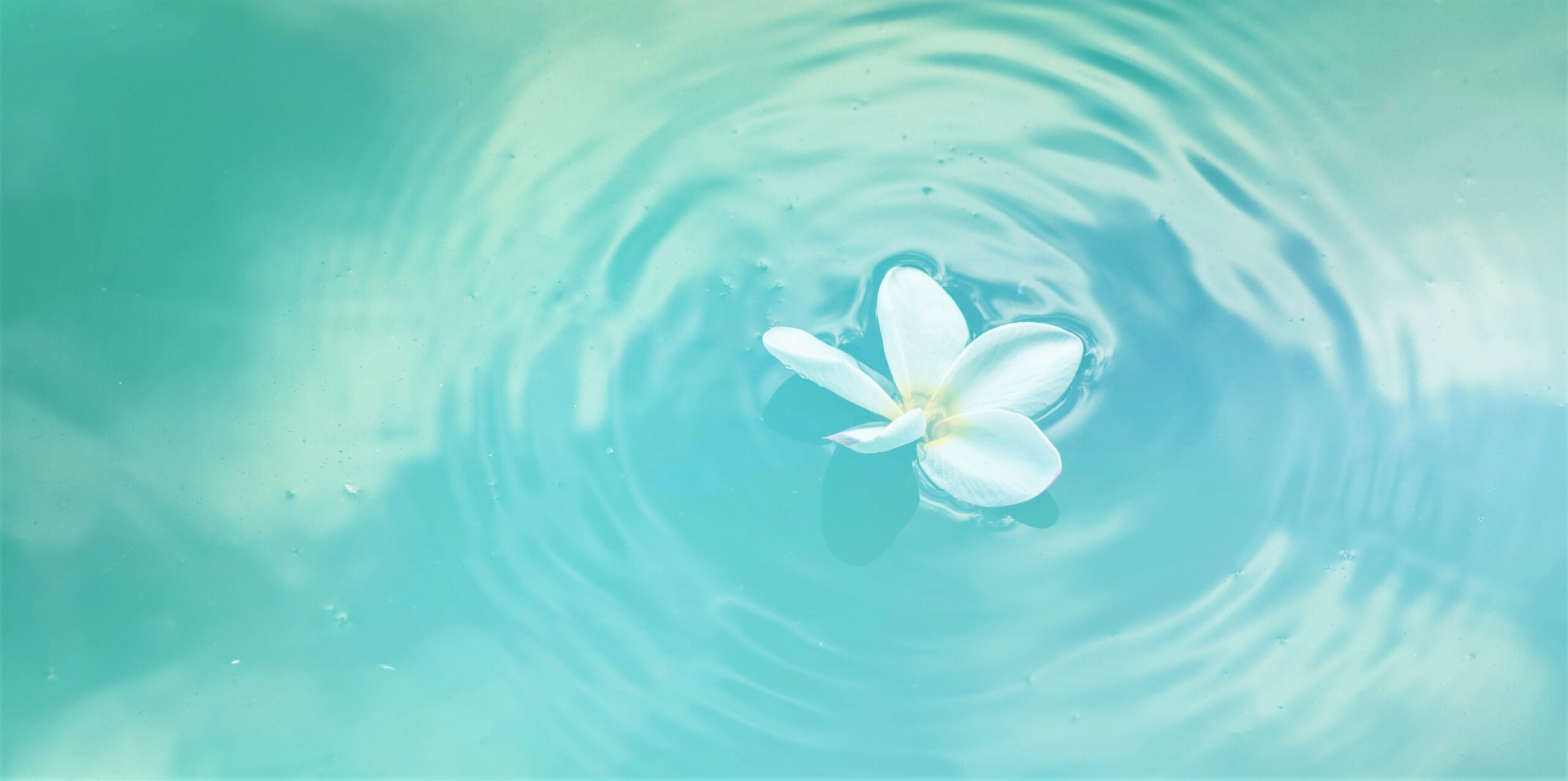 Visual representation of mindful living with white flower floating on turquoise water.