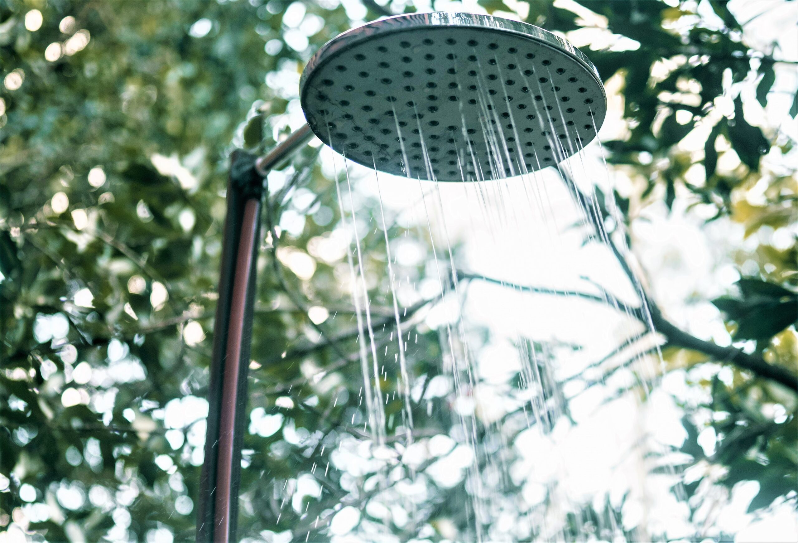 A rain shower head is set up in the outdoors with water flowing underneath.