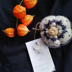 Mindful Pumpkin - Ocean